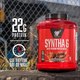 BSN Syntha-6 Ultra Premium Protein Matrix - Chocolate Milkshake, 5 lbs, 48 Servings 4
