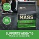 Optimum Nutrition Serious Mass Chocolate (12lbs) 4